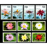 Selos Cuba Cambodja Flores Flora Aquática Frete Light L 3811
