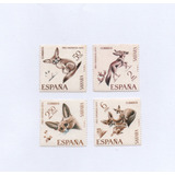 Selos Da Espanha série Sahara Mamíferos Pró Infância 1970
