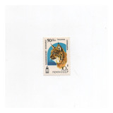 Selos Da Urss Fauna Lince 50 Aniv Zoológico De Talinn 1989