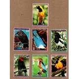 Selos Guiné Equatorial 1976 Aves Da América Do Norte