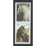 Selos Novos C 3592 93   Cavalos   A