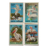 Selos Romênia Aves