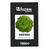 Feltrin