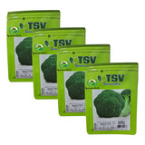 Semente De Couve Brócolis Híbrido Master Tsv 10 000 Sementes