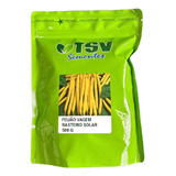 500gtsv