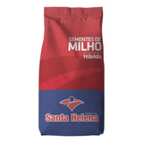 Semente De Milho Shs Superr 60 000 Sementes Santa Helena