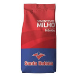 Semente De Milho Super Rr 2kg
