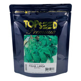 Semente De Rucula 100g