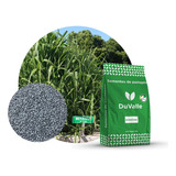 Semente Incrustada De Capim Miyagui  panicum Maximum  200kg