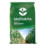 Semente Milho Biomatrix Bm3077 Vip3 Fortis Nd Cl2 60s