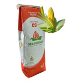 2kg