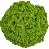 Feltrin