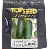 Semente Pepino Caipira Hibrido Concord F1 3 000 Sementes 