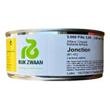Sementes Alface Crespa Jonction Hidroponia 5000 Sementes