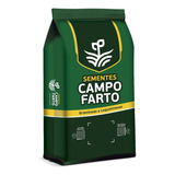 Sementes Brizantha Marandu braquiarão Convencional 5kg