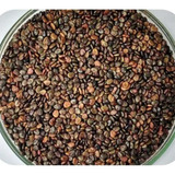 Sementes Crotalária Spectabilis Caixa Com 3 0 Kg