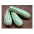 Sementes De Abobobrinha Caserta Italiana Lata C/ 250gr