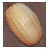 Sementes