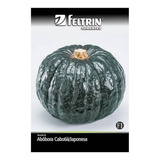 Feltrin