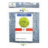 Sementes De Alface Crespa Bs Ac0063 1 000 Sementes