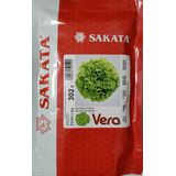 Sementes De Alface Crespa Vera 7 500 Sementes Sakata