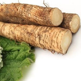 Sementes De Bardana Para