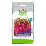 Sementes De Beterraba Shankar Microverdes Pacote 100g Isla