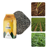 Sementes De Capim Dunamis Vc80 Safra23 24 500g