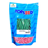 Sementes De Feijao De Vagem Macarrão Rasteiro Pcte C 1 Kg