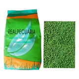 Sementes De Grama Batatais Incrustada 1 Kg Rende Até 150m2 