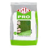 Pro