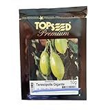 Sementes De Jiló Teresópolis Gigante 10g Topseed Premium