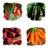 Sementes De Legumes Verduras Hortaliças - À Sua Escolha