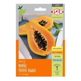 Sementes De Mamao Papaya