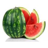 Sementes De Melancia Crimson Select Plus Feltrin 100g