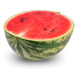 Feltrin