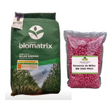 Sementes De Milho Verde Híb  Biomatrix 3066 Vt Pro3   2 Kg