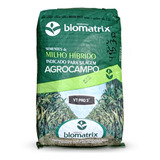 Sementes De Milho Verde Híb  Biomatrix 3066 Vt Pro3   5 Kg