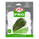 Sementes De Nira Alho