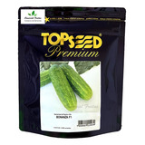 Sementes De Pepino Híbrido Bonanza F1 Pcte C 3 000 Sementes
