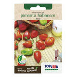 Sementes De Pimenta Habanero red