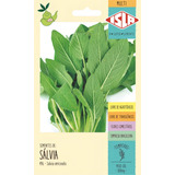 Sálvia