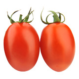 Sementes De Tomate Rasteiro Milagros 1000 Sementes Sakata