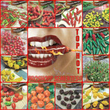Sementes Do Kit 12 Variedades De Pimentas Guia De Plantio