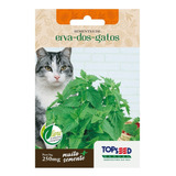 Topseed