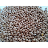 Sementes Feijão Guandu Andu Mandarim 2kg Sementes P Plantio
