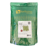 Sementes Feijão Vagem Grazi Horticeres 1kg