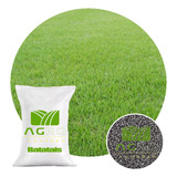 Sementes Grama Batatais Incrustada 1 Kg