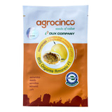 Sementes Maracujá Híbrido Brs Gigante Amarelo 12g
