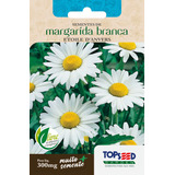 Sementes Margarida Branca etoile Danvers Topseed